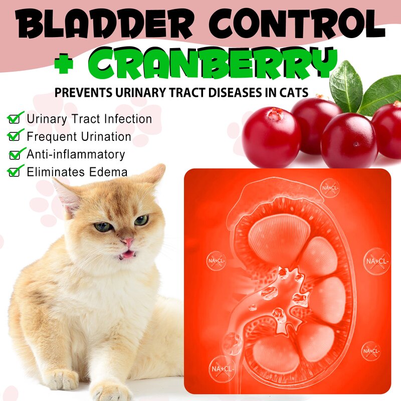 Pet Supplement - Oimmal 60ml Cranberry Urinary Tract Bladder Health Cat