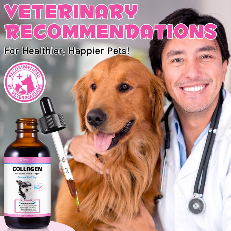Pet Supplement - 60ml Natural Kidney Health Urination Immunity Support Cat