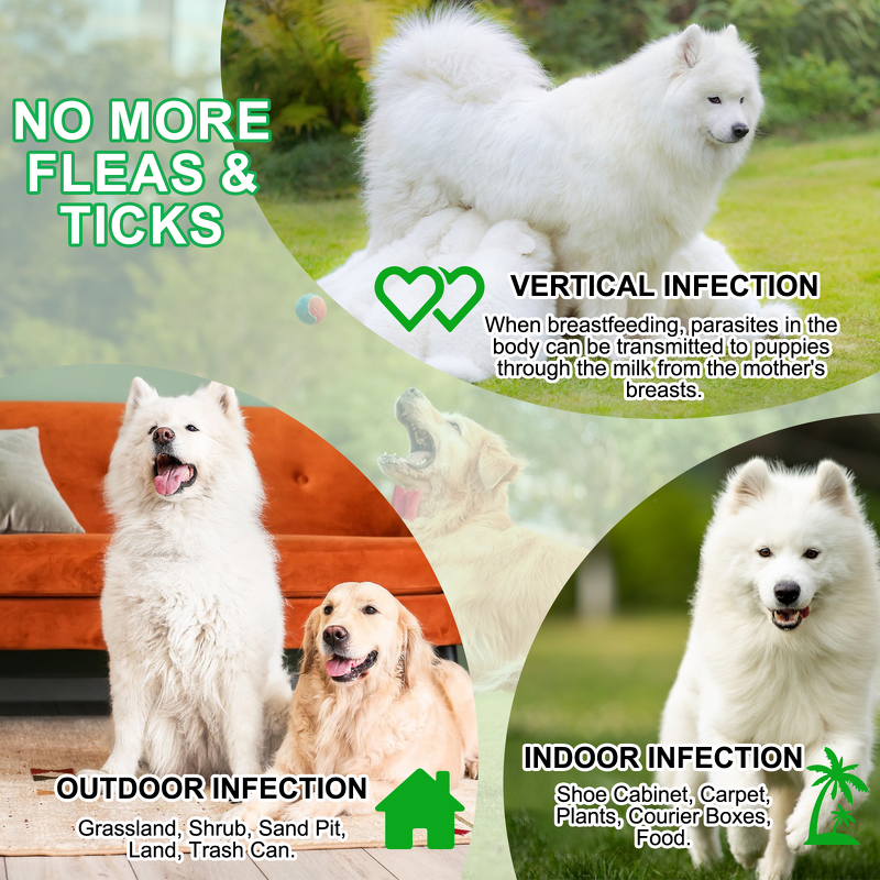 Pet Chews - Oimmal 60 Soft Flea Tick Control Prevention Natural Dog Treats