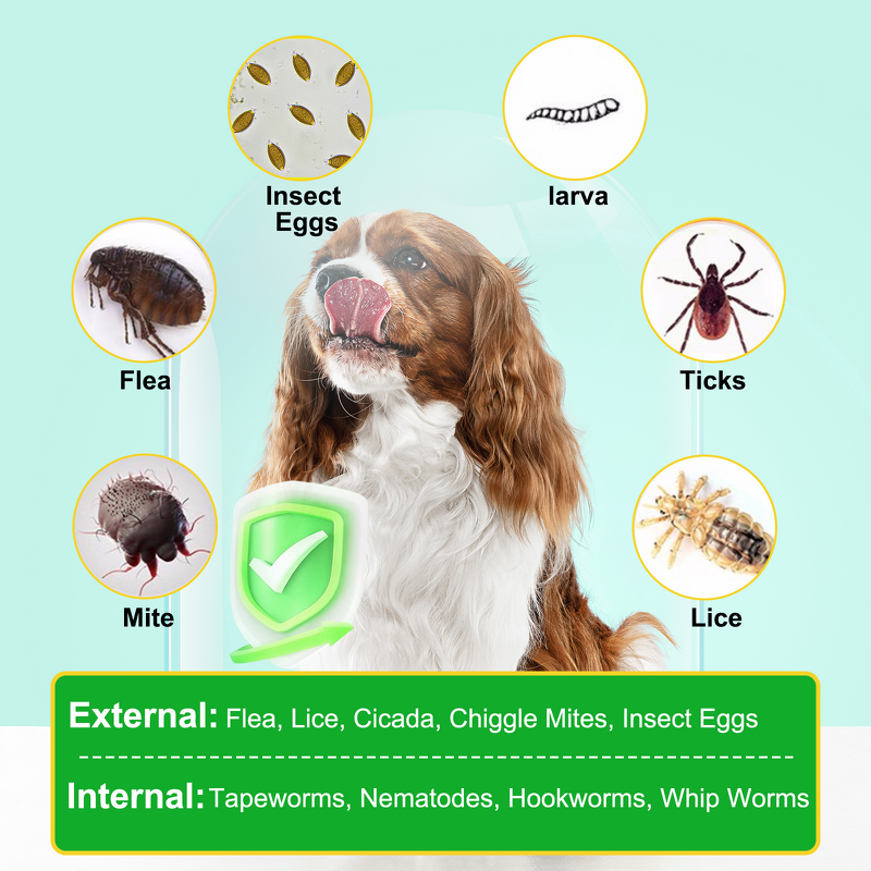 Pet Chews - Oimmal 60 Soft Flea Tick Control Prevention Natural Dog Treats