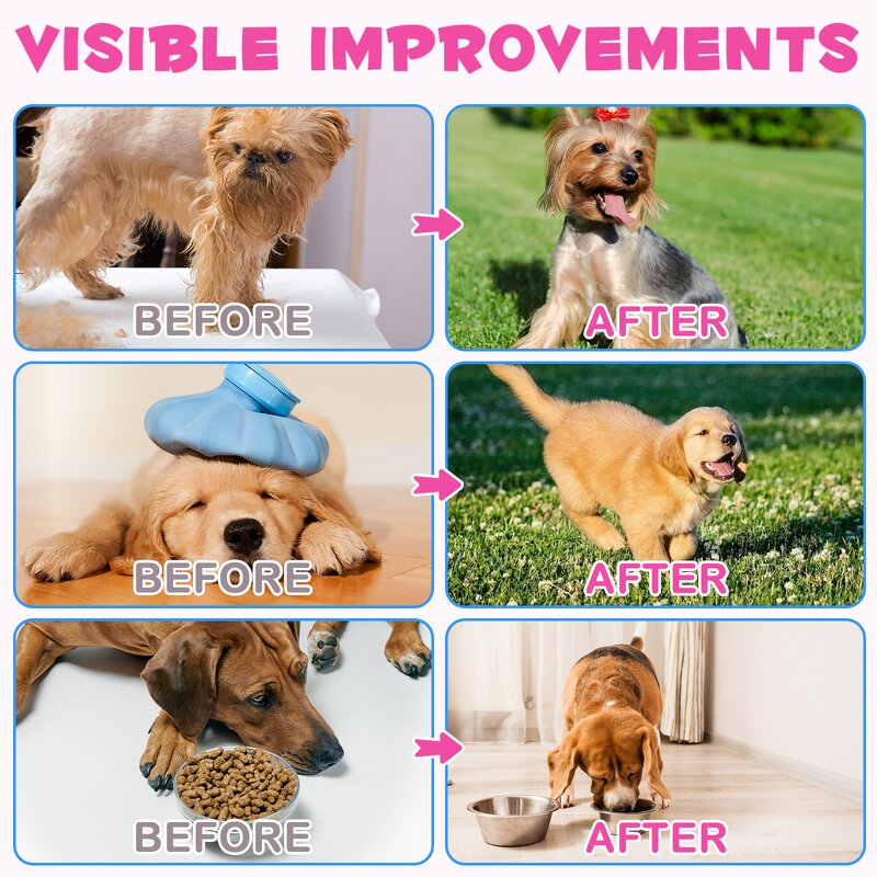 Pet Supplement - 60ml Natural Kidney Health Urination Immunity Support Cat