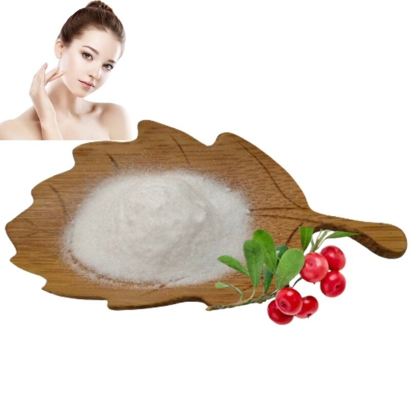 Alpha Arbutin Powder Manufacturer - 99% Skin Whitening