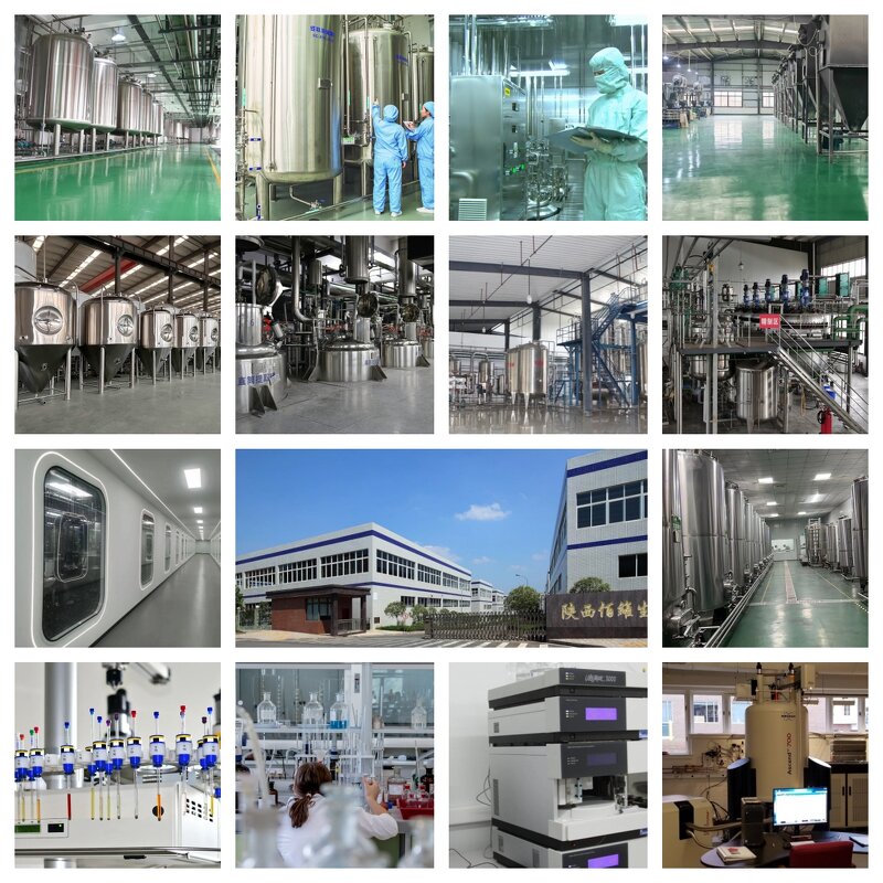 Alpha Arbutin Powder Manufacturer - Pure, CAS 84380-01-8