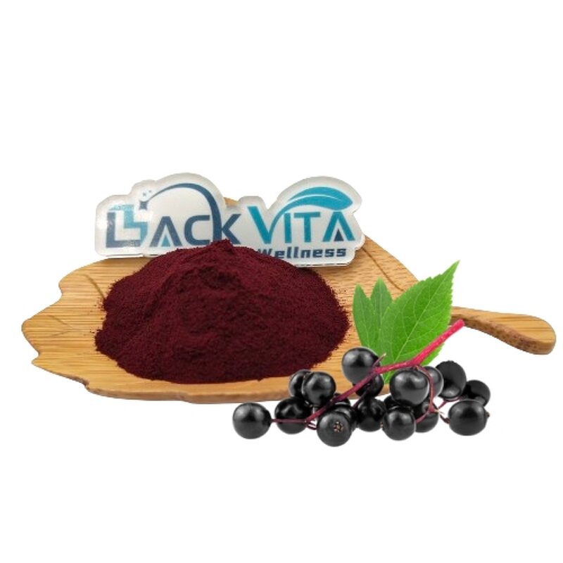 Black Elderberry Juice Powder Manufacturer - Organic & OEM/ODM