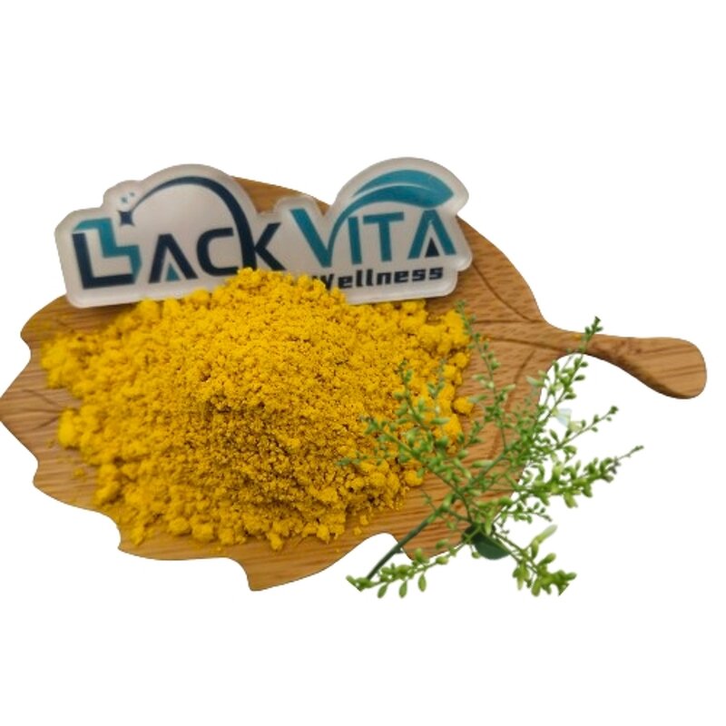 Quercetin Powder Manufacturer - 95% HPLC, Sophora Japonica Extract