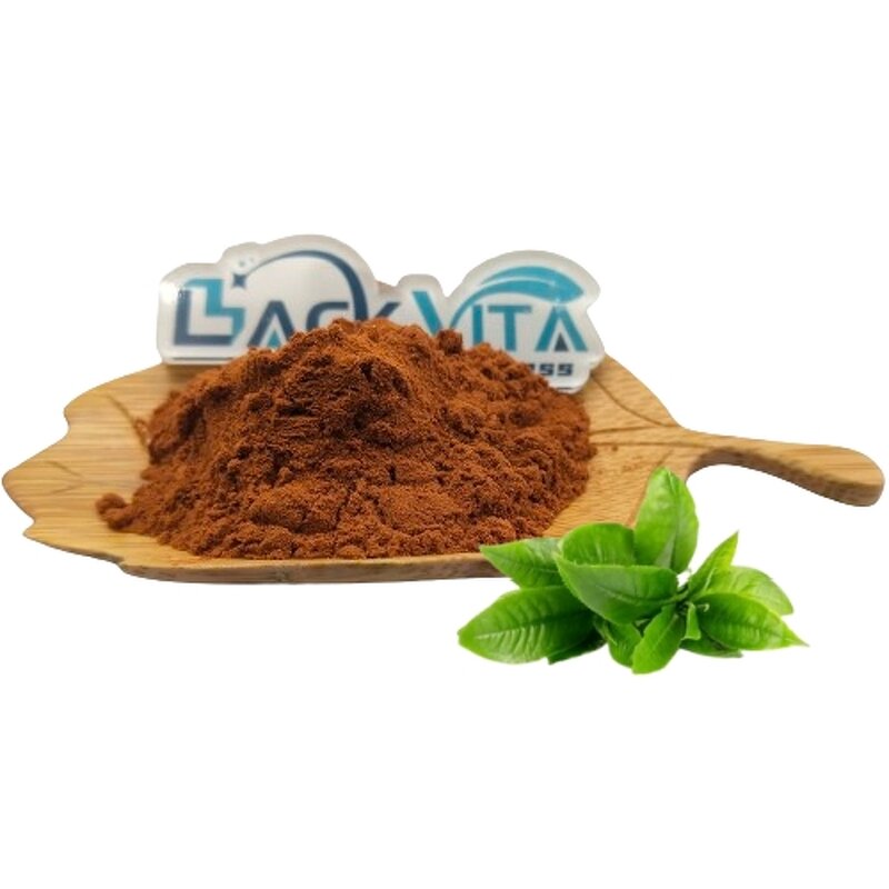 Green Tea Extract Manufacturer - Wholesale Price
