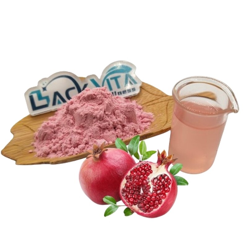 Pomegranate Juice Powder Manufacturer - Organic Bulk