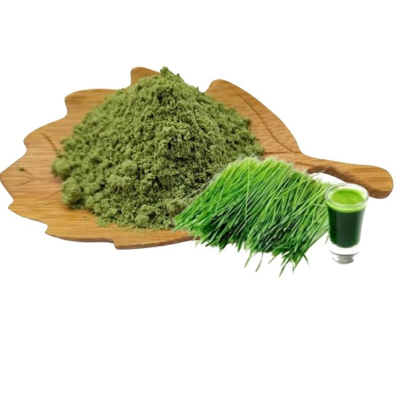 Barley Grass Powder Manufacturer - 100% Pure & OEM/ODM