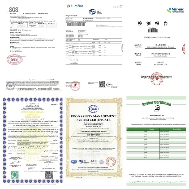 Strawberry Powder Manufacturer - Freeze Dried & OEM/ODM