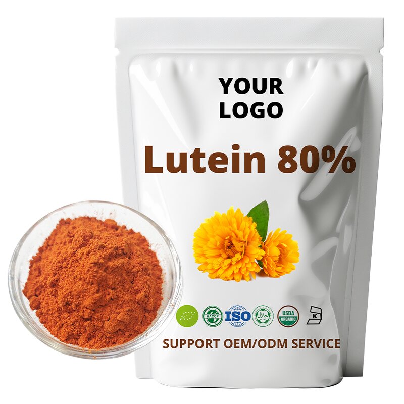 Ligustrum Lucidum - Natural Dried Fruit Extract Pure Powder MOQ 1 KG Bulk