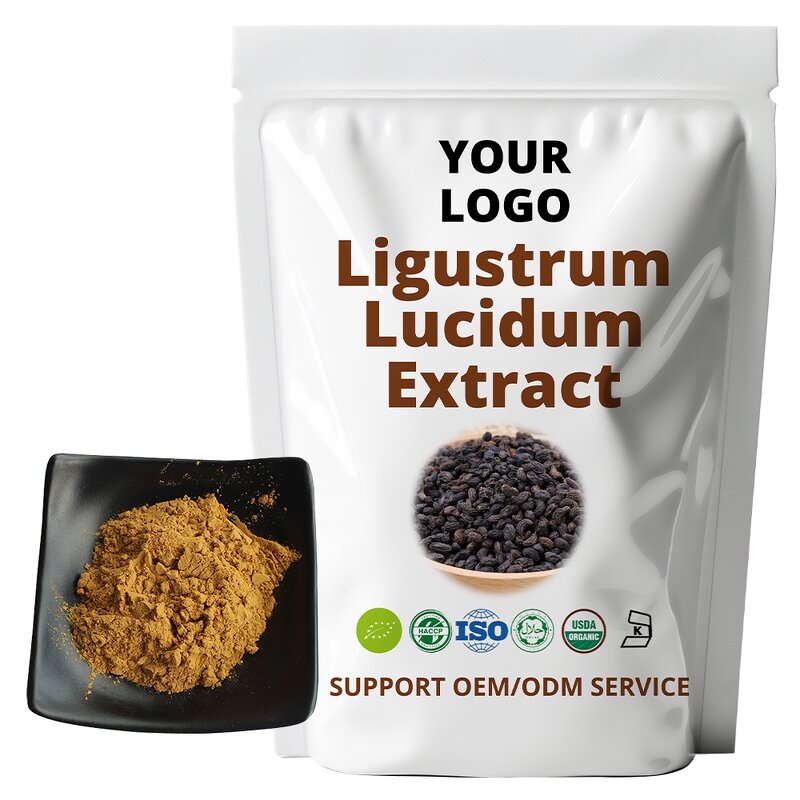 Cornus Officinalis - Natural Dried Pulp Extract Pure Powder MOQ 1 KG Bulk