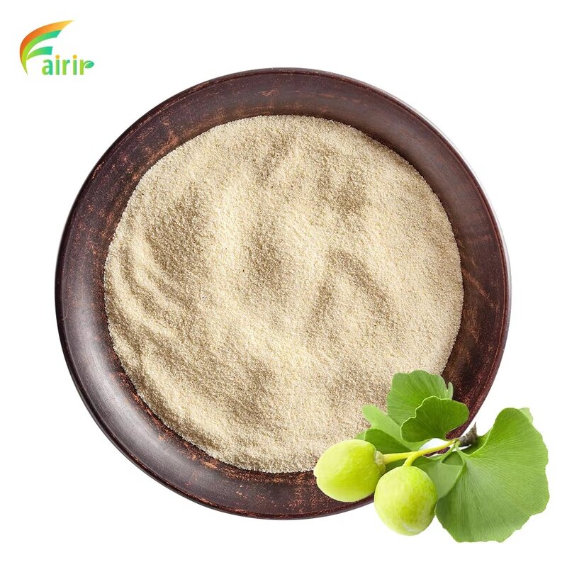 Ginkgo Biloba Extract - 24% Flavonoids 6% Lactones Leaf Powder Factory Direct Fast Ship