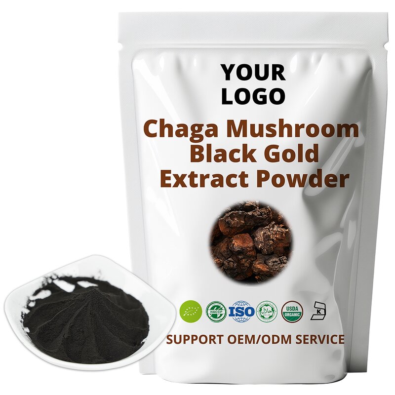 Chaga Mushroom Extract - ISO Certificate Top Standard Powder OEM ODM Bulk Wholesale