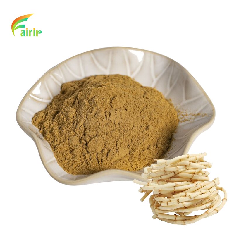Houttuynia Extract - 10:1 20:1 50:1 Cordata Powder Wholesale Manufacturer Fast Shipping