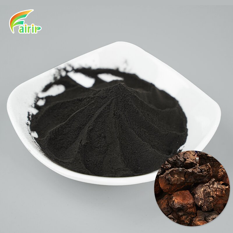 Chaga Mushroom Extract - 30% Polysaccharide 1% Triterpene Customize Herbal Organic Powder