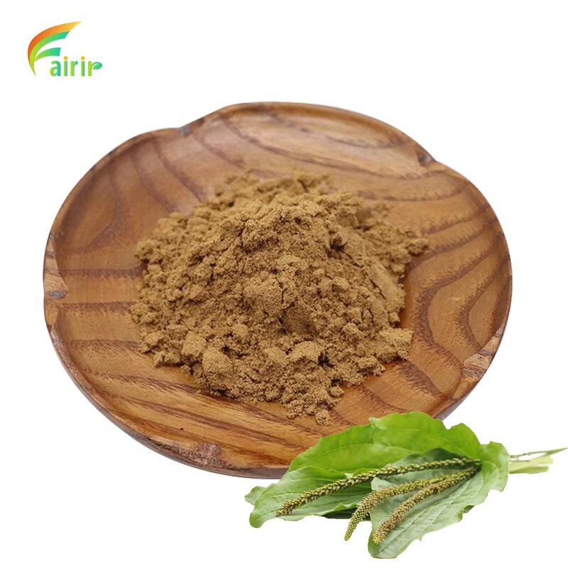 Plantago Extract - 10:1 Lanceolata Asiatica Leaf Powder Discounted Fast Shipping
