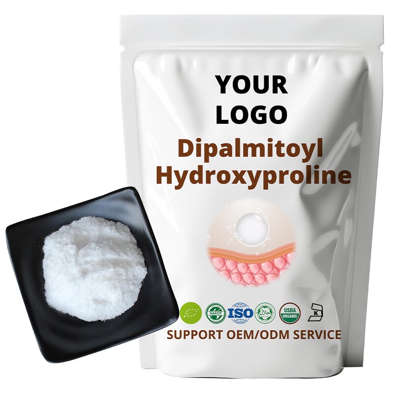 Alanine Powder Manufacturer - 99% Purity Amino Acid Food Grade Supplement OEM ODM