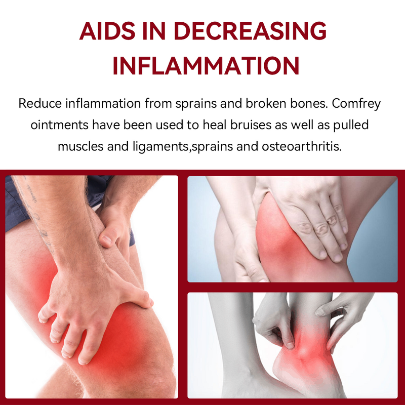 Comfrey Salve Manufacturer - Organic Herbal Extract Ointment for Relief