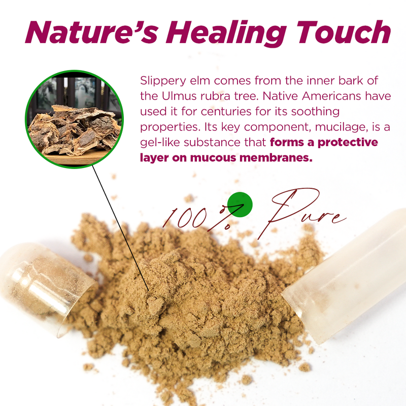 Slippery Elm Bark Capsules Manufacturer - 100% Natural Herbal for Vaginal Moisture