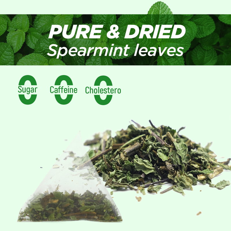 Spearmint Tea Manufacturer - Organic Dried Mint Leaf Tea Bags