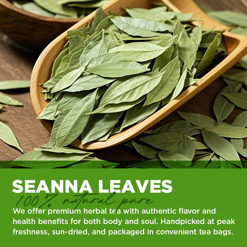 Senna Leaf Tea Manufacturer - Caffeine-Free for Digestion & Immune Support