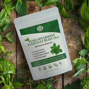 Spearmint Tea Manufacturer - Organic Dried Mint Leaf Tea Bags