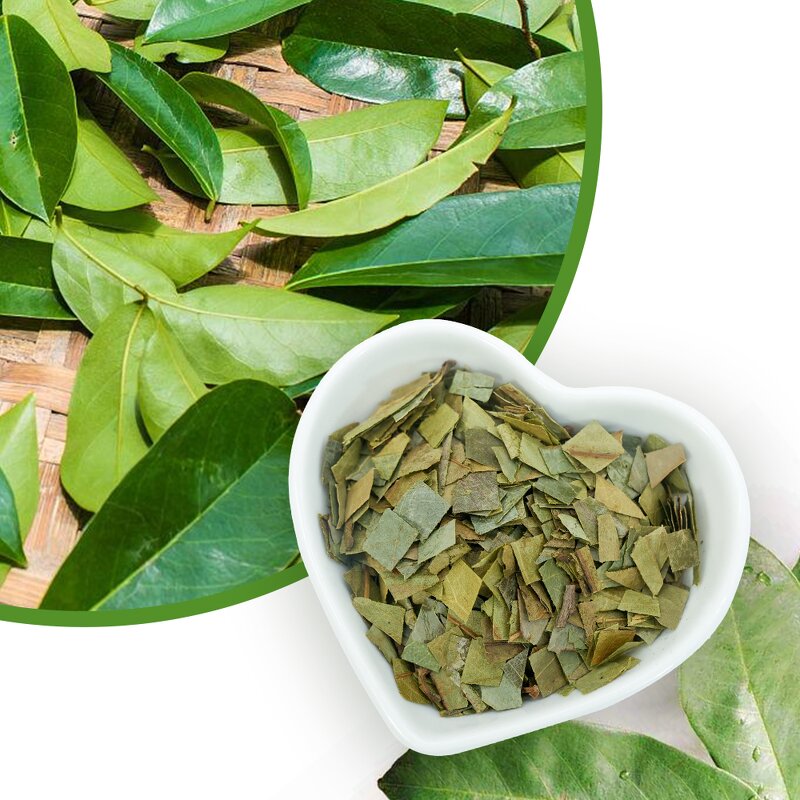 Soursop Leaf Tea Manufacturer - Private Label Dried for Metabolism & Weight Loss