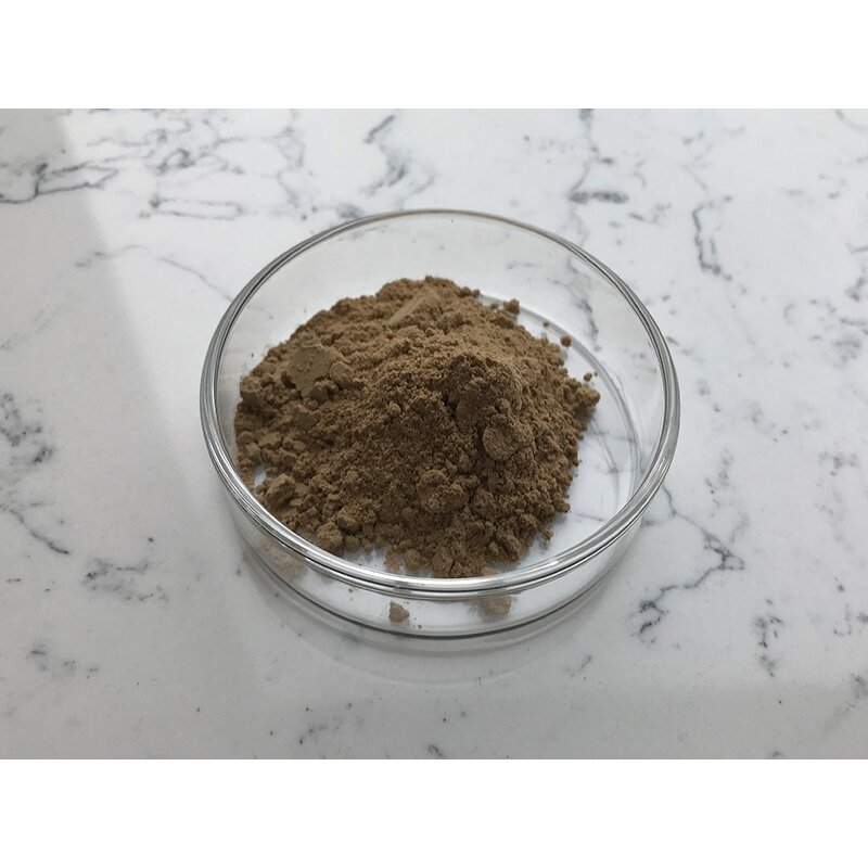 Bacillus Pumilus - Manufacturer - Top Quality Pure Bacteria Powder Bulk
