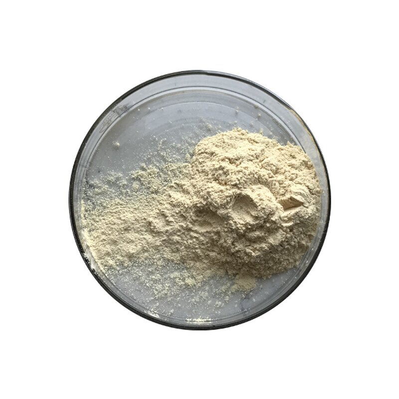 Monk Fruit Extract - Manufacturer - Luo Han Guo Organic Sweetener Bulk