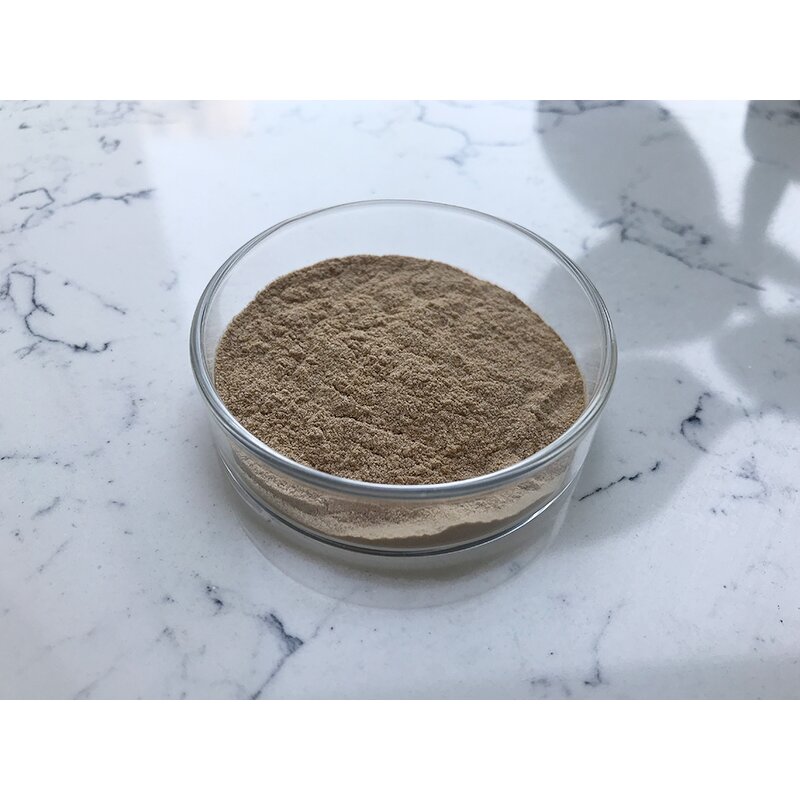 Bacillus Megaterium - Manufacturer - Fertilizer Efficiency Improvement Bulk