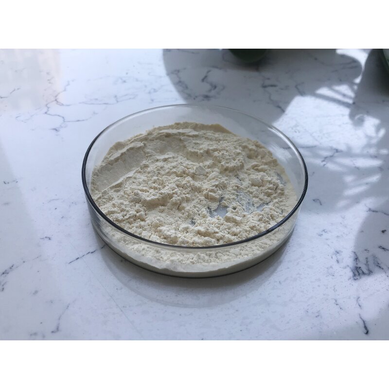 Ginseng Extract - Manufacturer - 8%-80% Ginsenoside Panax Root Extract