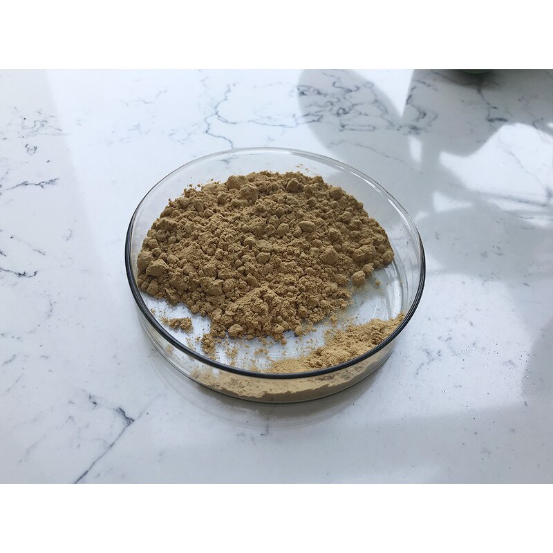 Bacillus Subtilis - Manufacturer - Top Quality Water Treatment Material