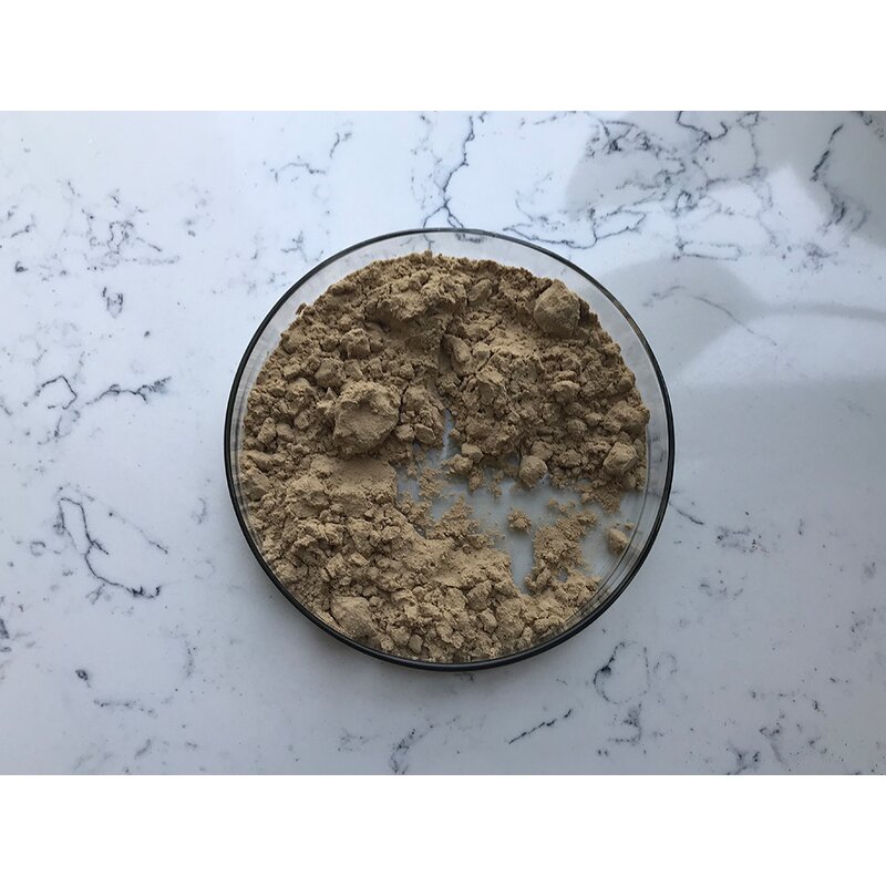 Bacillus Thuringiensis - Manufacturer - Top Quality Pure Bacteria Powder