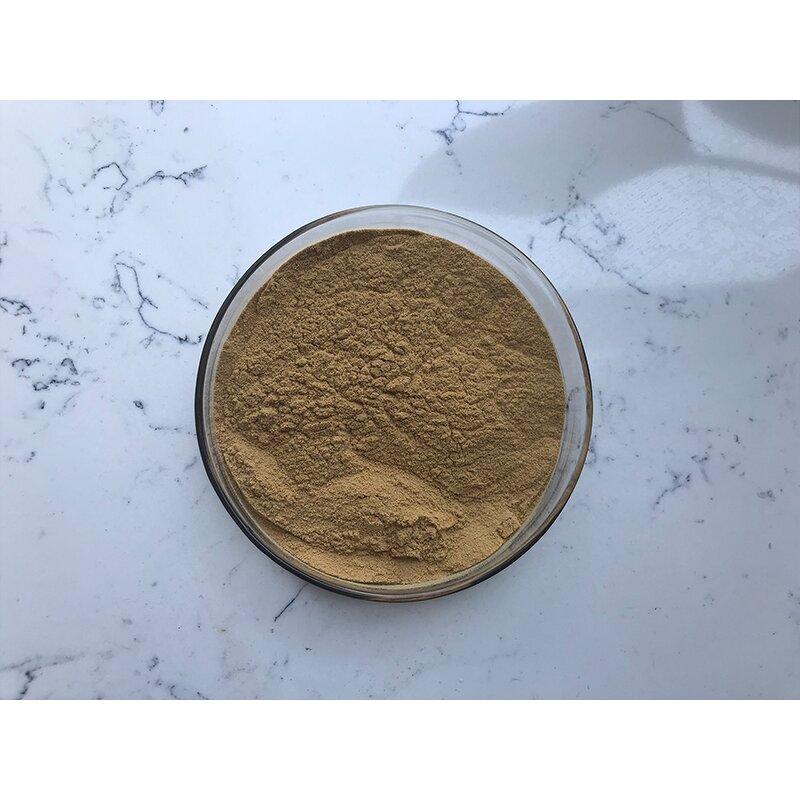 Ginseng Extract - Manufacturer - Natural Root Extract Ginsenoside Pure