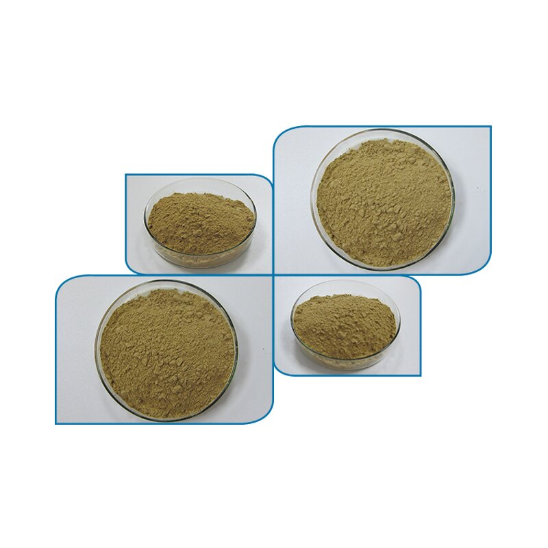 Beta-Ecdysterone - Manufacturer - HPLC 98% Purity Powder Natural Extract