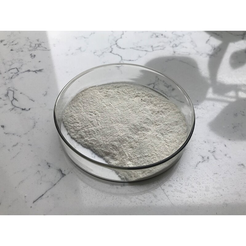 Chitin - Manufacturer - Good Quality Pure Natural Bulk Supply