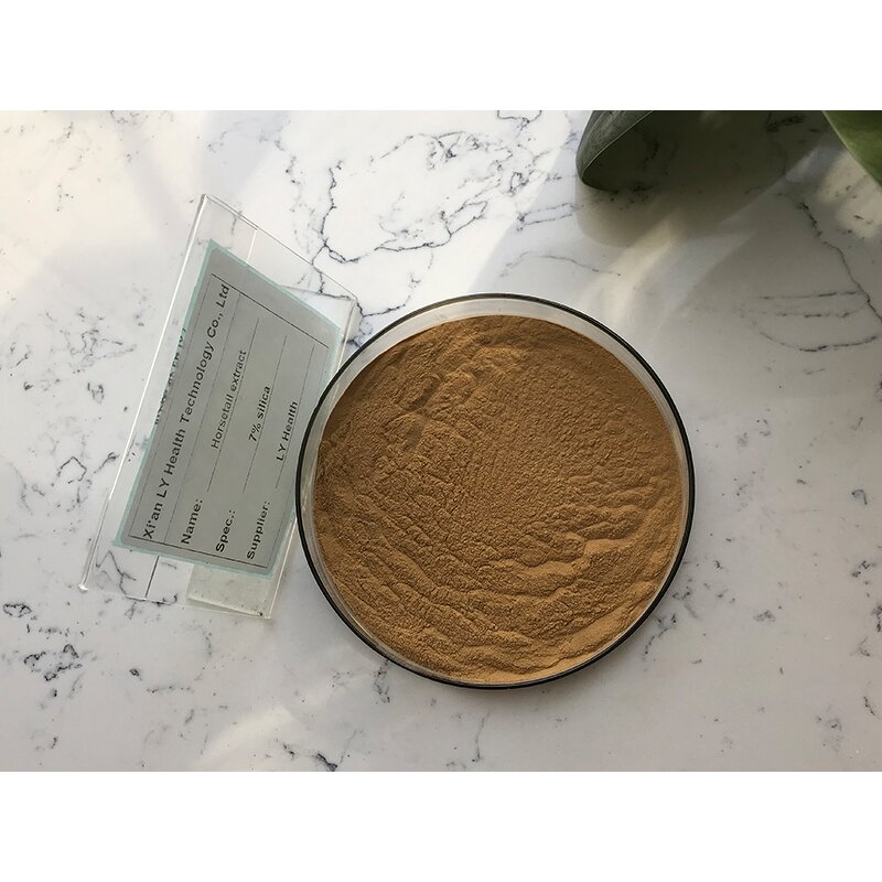 Horsetail Grass Extract - Manufacturer - Equisetum Arvense Pure Bulk Price