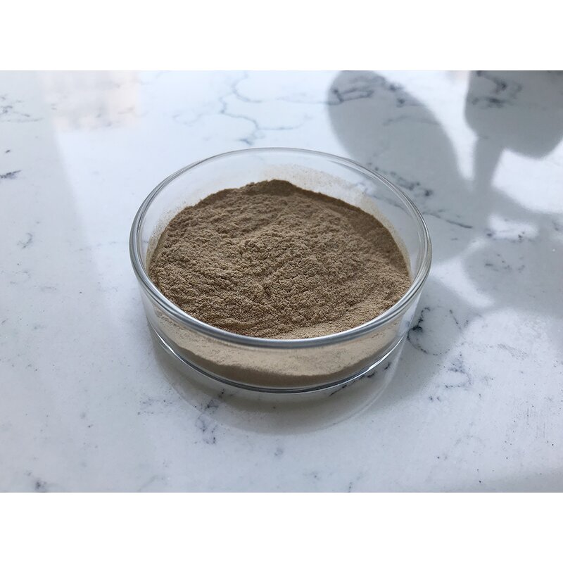 Bacillus Megaterium - Manufacturer - Fertilizer Efficiency Improvement Bulk