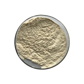 Monk Fruit Extract - Manufacturer - Luo Han Guo Powder Sweeteners Bulk