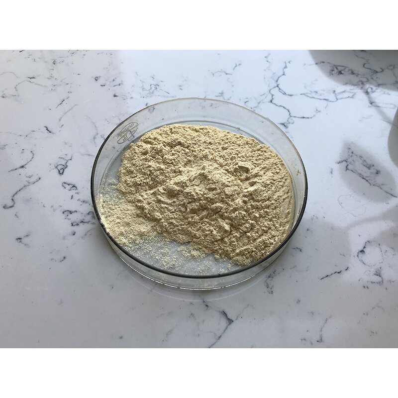 Monk Fruit Extract - Manufacturer - Luo Han Guo Organic Sweetener Bulk