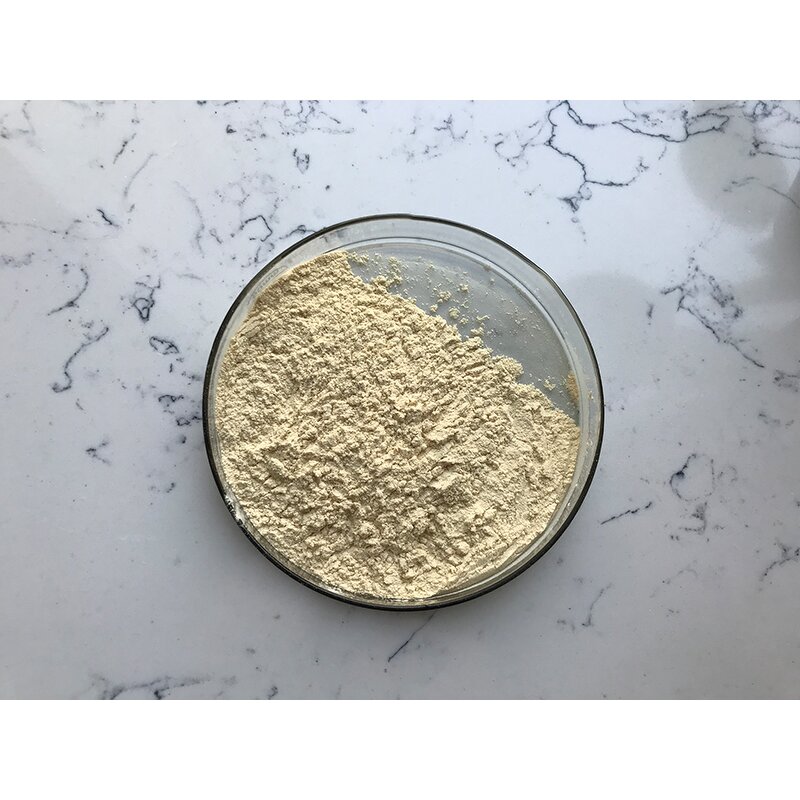 Monk Fruit Extract - Manufacturer - Luo Han Guo Organic Sweetener Bulk