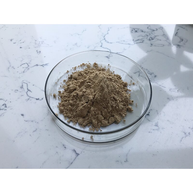 Bacillus Thuringiensis - Manufacturer - Top Quality Pure Bacteria Powder