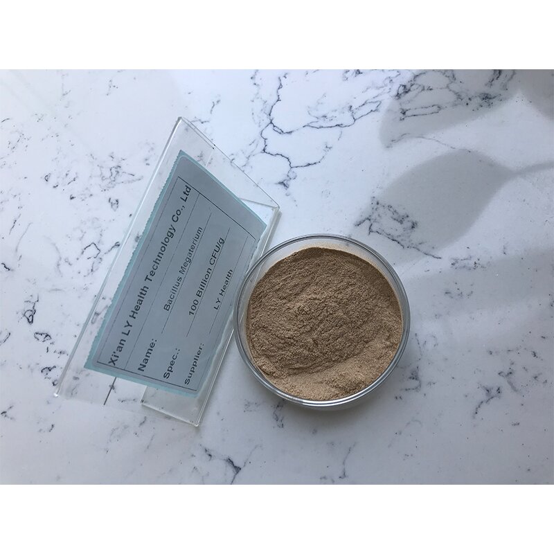 Bacillus Megaterium - Manufacturer - Fertilizer Efficiency Improvement Bulk