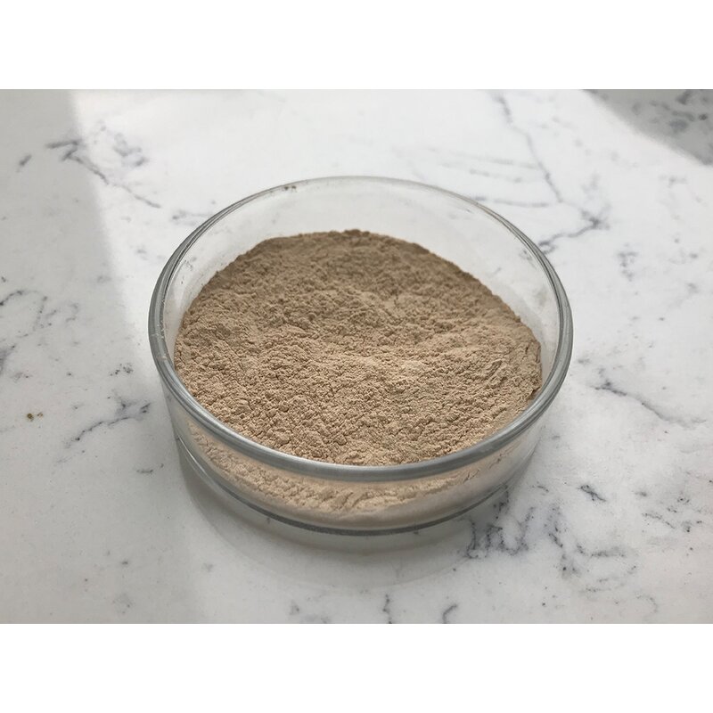 Bacillus Coagulans - Manufacturer - Top Quality Probiotic Bacteria Powder
