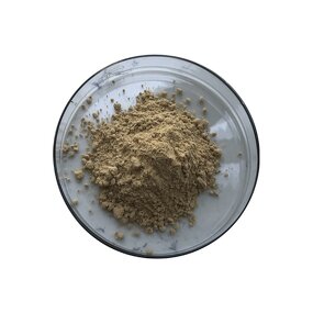 Bacillus Amyloliquefaciens - Manufacturer - Feed Grade Pure Powder Bulk