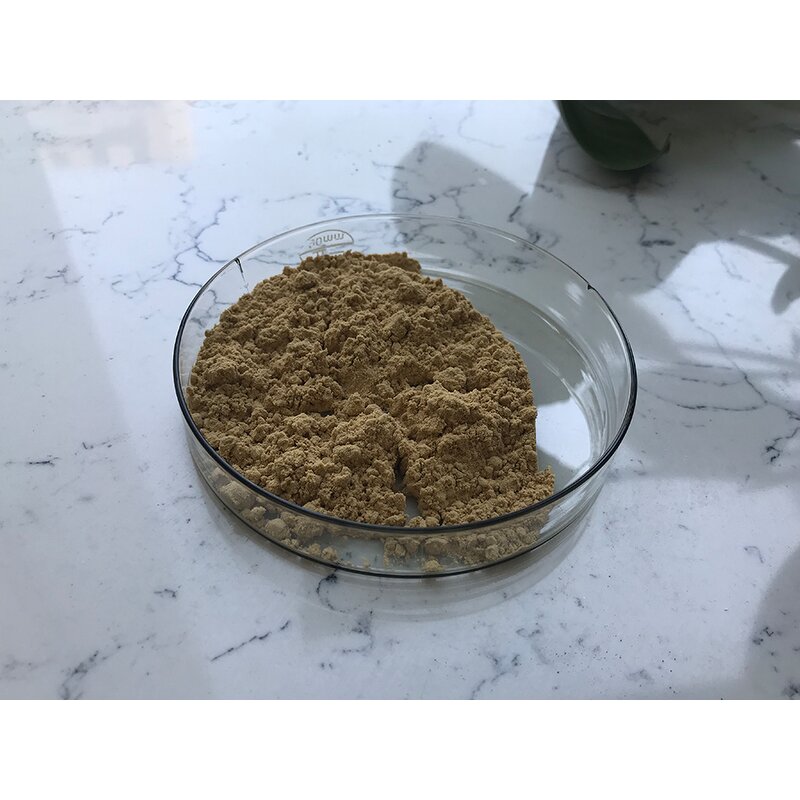 Bacillus Amyloliquefaciens - Manufacturer - Feed Grade Pure Powder Bulk