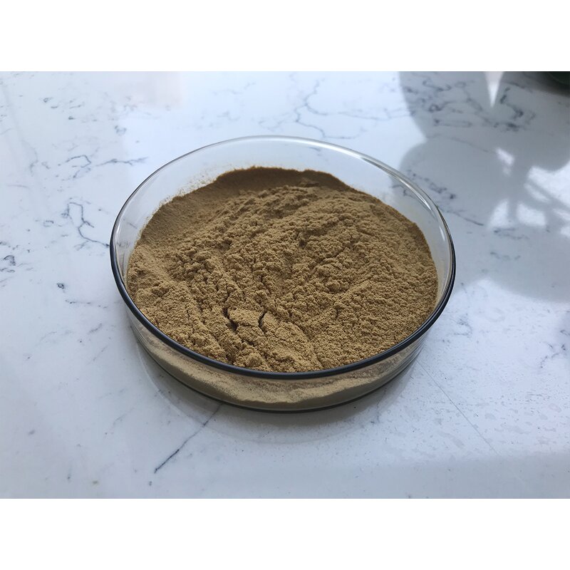 Ginseng Extract - Manufacturer - Natural Root Extract Ginsenoside Pure