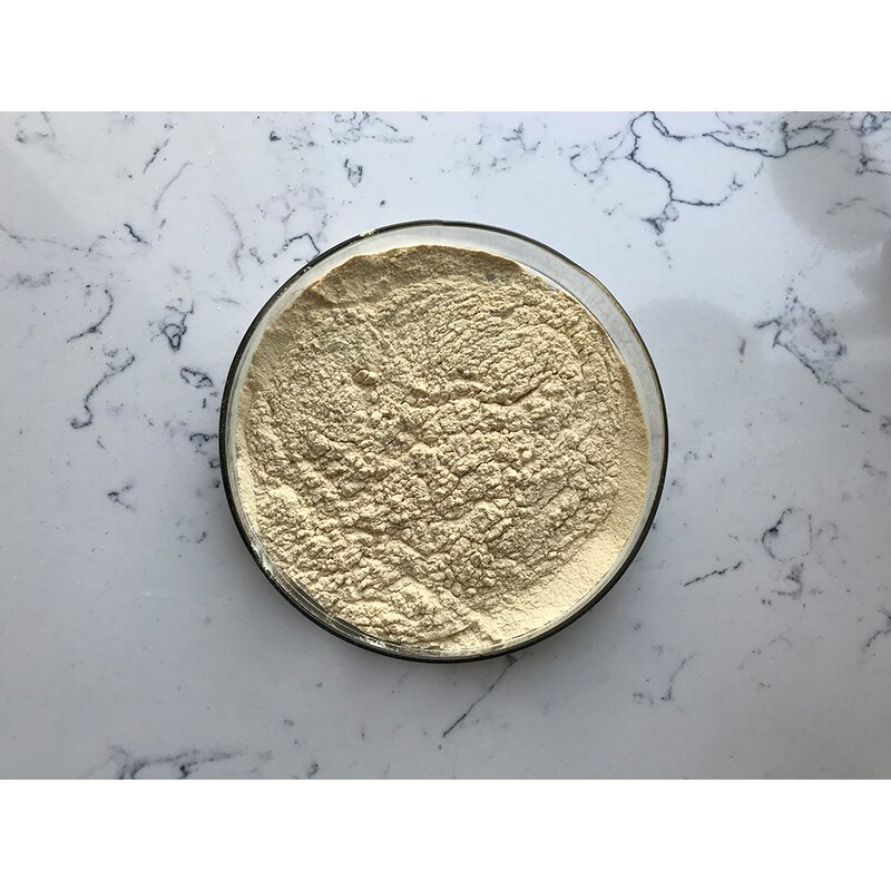 Monk Fruit Extract - Manufacturer - Luo Han Guo Powder Sweeteners Bulk