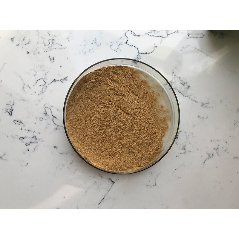 Horsetail Grass Extract - Manufacturer - Equisetum Arvense Pure Bulk Price