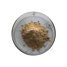 Kava Root Extract - Manufacturer - Natural Plant Extract Healthcare Supplement